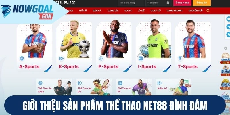 Giới thiệu sản phẩm thể thao Net88 đình đám