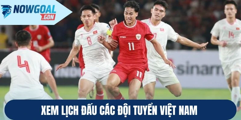 Xem lịch đấu các đội tuyển Việt Nam ở trang