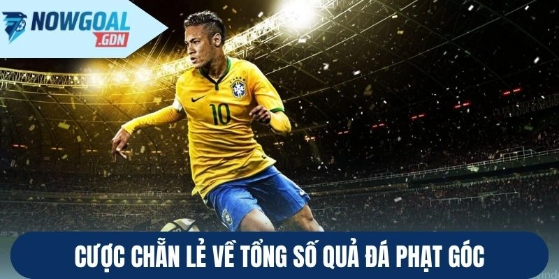 Cược chẵn lẻ về tổng số quả đá phạt góc