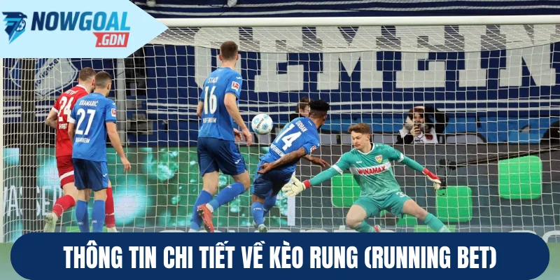 Thông tin chi tiết về kèo rung (Running Bet)