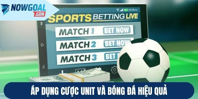 Áp dụng cược Unit và bóng đá hiệu quả