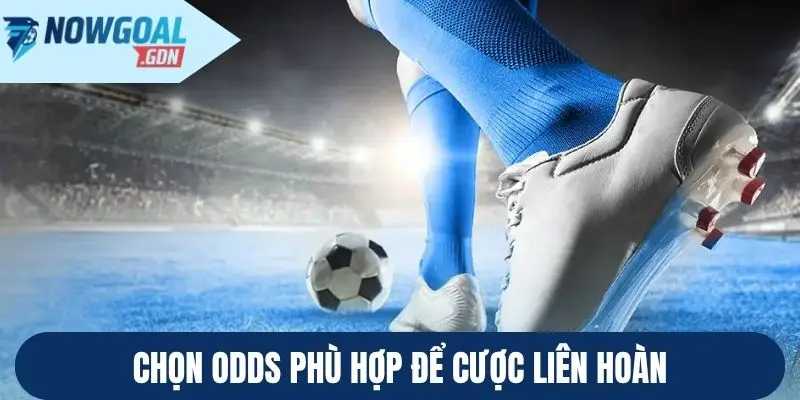 Chọn odds phù hợp để cược liên hoàn
