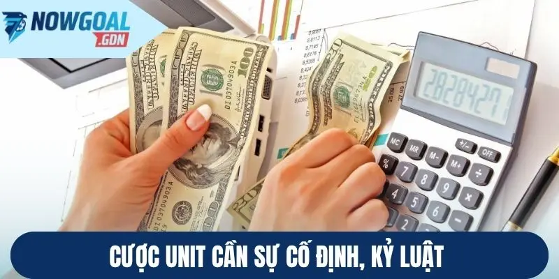 Cược Unit cần sự cố định, kỷ luật