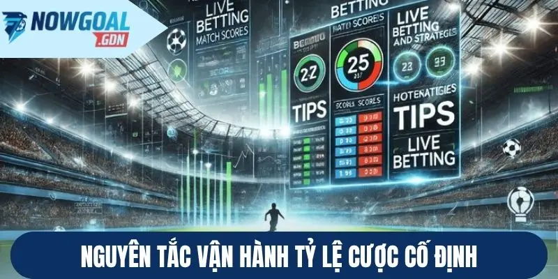 Nguyên tắc vận hành tỷ lệ cược cố định