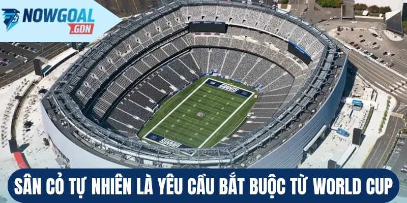 Sân cỏ tự nhiên là yêu cầu bắt buộc từ World Cup