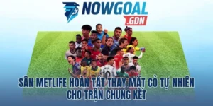 Sân MetLife Hoàn Tất Thay Mặt Cỏ Tự Nhiên Cho Trận Chung Kết