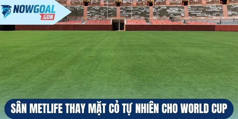 Sân MetLife thay mặt cỏ tự nhiên cho World Cup