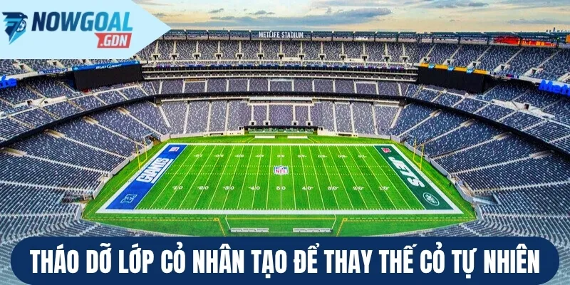 Tháo dỡ lớp cỏ nhân tạo để thay thế cỏ tự nhiên