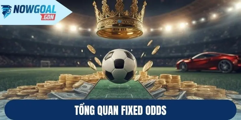 Tổng quan Fixed Odds